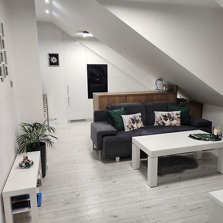 Apartament Wiktoria Διαμέρισμα Łańcut Εξωτερικό φωτογραφία